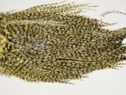 7471 Coq De Leon Dry Fly Hackle, Bronze Grade Saddle Pale Yellow