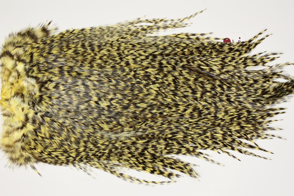 7476 Coq De Leon Dry Fly Hackle, Bronze Grade Saddle Pale Yellow