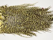 7476 Coq De Leon Dry Fly Hackle, Bronze Grade Saddle Pale Yellow