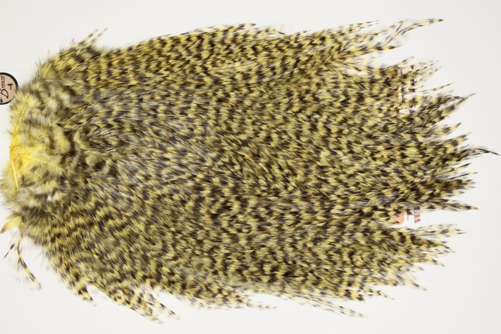 7477 Coq De Leon Dry Fly Hackle, Bronze Grade Saddle Pale Yellow