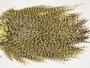 7477 Coq De Leon Dry Fly Hackle, Bronze Grade Saddle Pale Yellow
