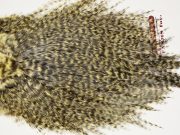 7478 Coq De Leon Dry Fly Hackle, Bronze Grade Saddle Pale Yellow