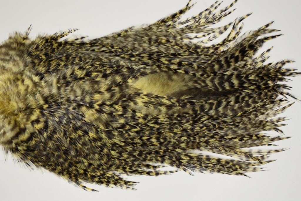 7479 Coq De Leon Dry Fly Hackle, Bronze Grade Saddle Pale Yellow