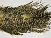 7479 Coq De Leon Dry Fly Hackle, Bronze Grade Saddle Pale Yellow