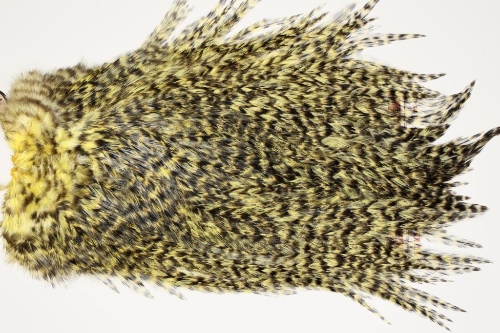 7481 Coq De Leon Dry Fly Hackle, Bronze Grade Saddle Pale Yellow