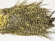 7481 Coq De Leon Dry Fly Hackle, Bronze Grade Saddle Pale Yellow