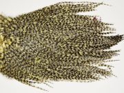 7484 Coq De Leon Dry Fly Hackle, Bronze Grade Saddle Pale Yellow