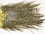 7489 Coq De Leon Dry Fly Hackle, Bronze Grade Saddle Pale Yellow