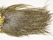 7492 Coq De Leon Dry Fly Hackle, Bronze Grade Saddle Pale Yellow