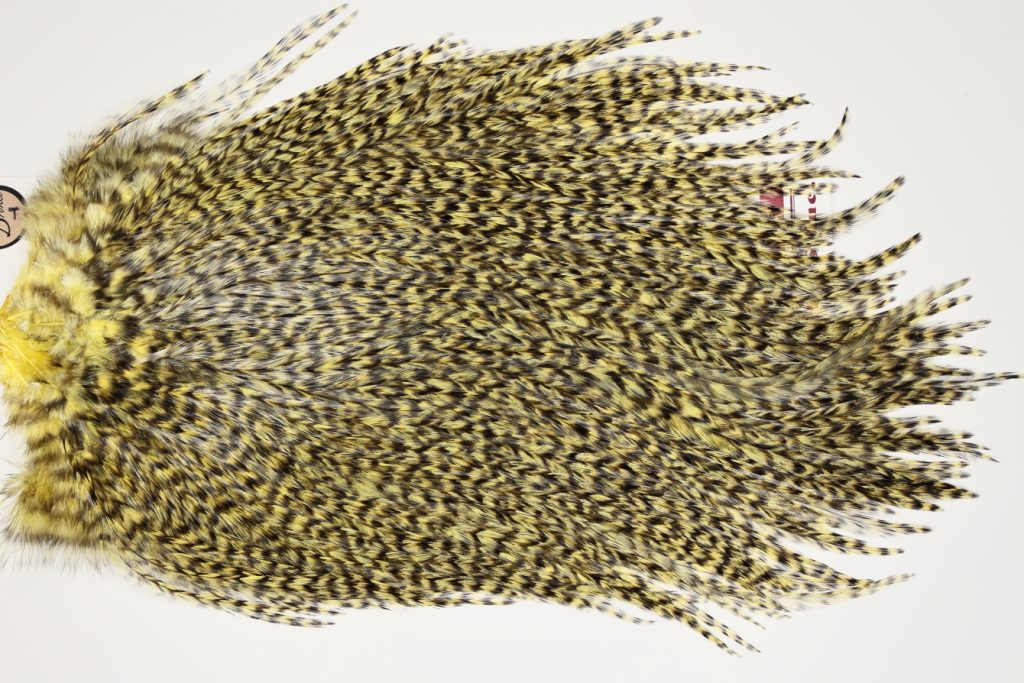 7493 Coq De Leon Dry Fly Hackle, Bronze Grade Saddle Pale Yellow