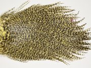 7493 Coq De Leon Dry Fly Hackle, Bronze Grade Saddle Pale Yellow