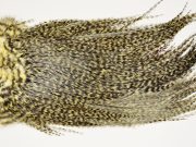 7494 Coq De Leon Dry Fly Hackle, Bronze Grade Saddle Pale Yellow