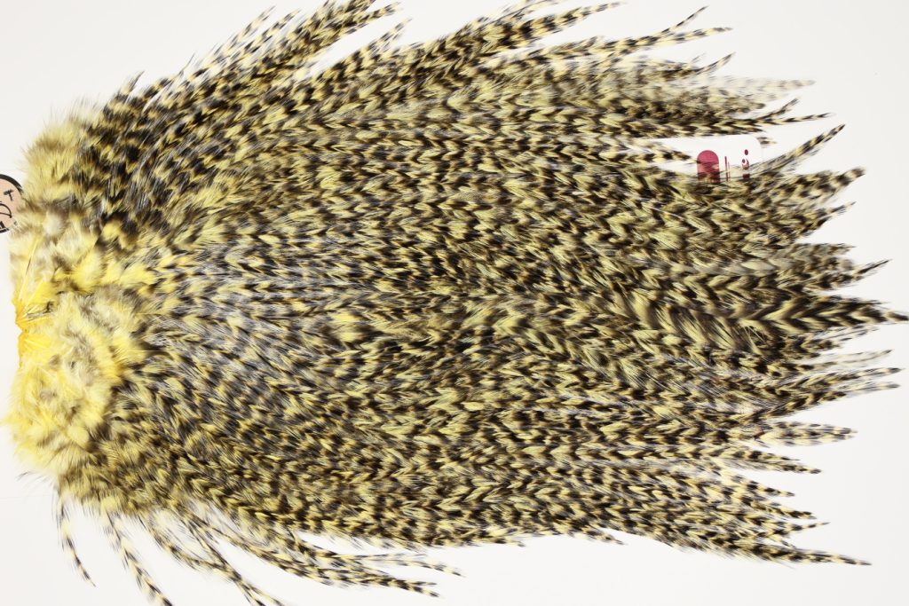 7495 Coq De Leon Dry Fly Hackle, Bronze Grade Saddle Pale Yellow