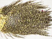 7495 Coq De Leon Dry Fly Hackle, Bronze Grade Saddle Pale Yellow