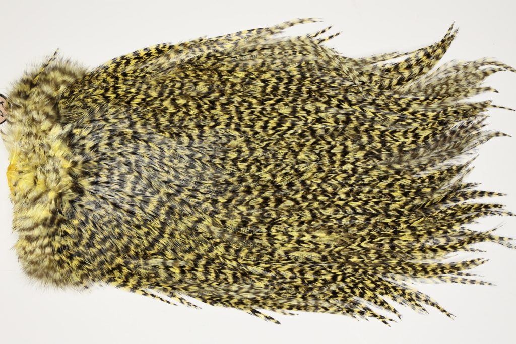 7497 Coq De Leon Dry Fly Hackle, Bronze Grade Saddle Pale Yellow