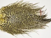 7499 Coq De Leon Dry Fly Hackle, Bronze Grade Saddle Pale Yellow