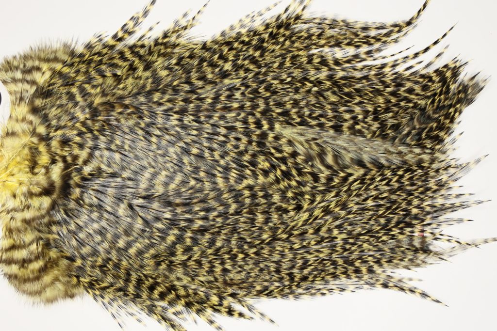 7501 Coq De Leon Dry Fly Hackle, Bronze Grade Saddle Pale Yellow