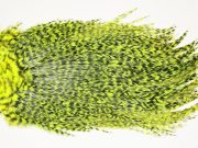 7504 Coq De Leon Dry Fly Hackle, Bronze Grade Saddle Yellow Chartreuse