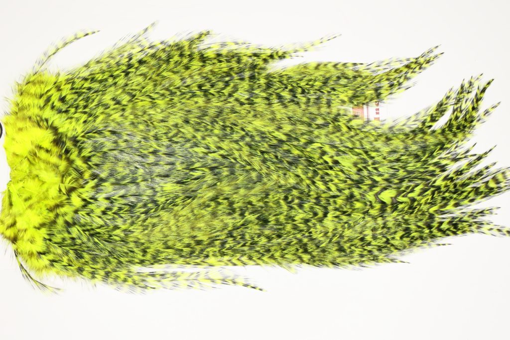 7508 Coq De Leon Dry Fly Hackle, Bronze Grade Saddle Yellow Chartreuse