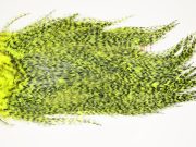 7508 Coq De Leon Dry Fly Hackle, Bronze Grade Saddle Yellow Chartreuse