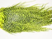 7509 Coq De Leon Dry Fly Hackle, Bronze Grade Saddle Yellow Chartreuse