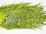 7510 Coq De Leon Dry Fly Hackle, Bronze Grade Saddle Yellow Chartreuse