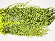 7511 Coq De Leon Dry Fly Hackle, Bronze Grade Saddle Yellow Chartreuse