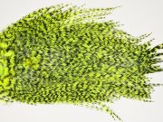 7513 Coq De Leon Dry Fly Hackle, Bronze Grade Saddle Yellow Chartreuse
