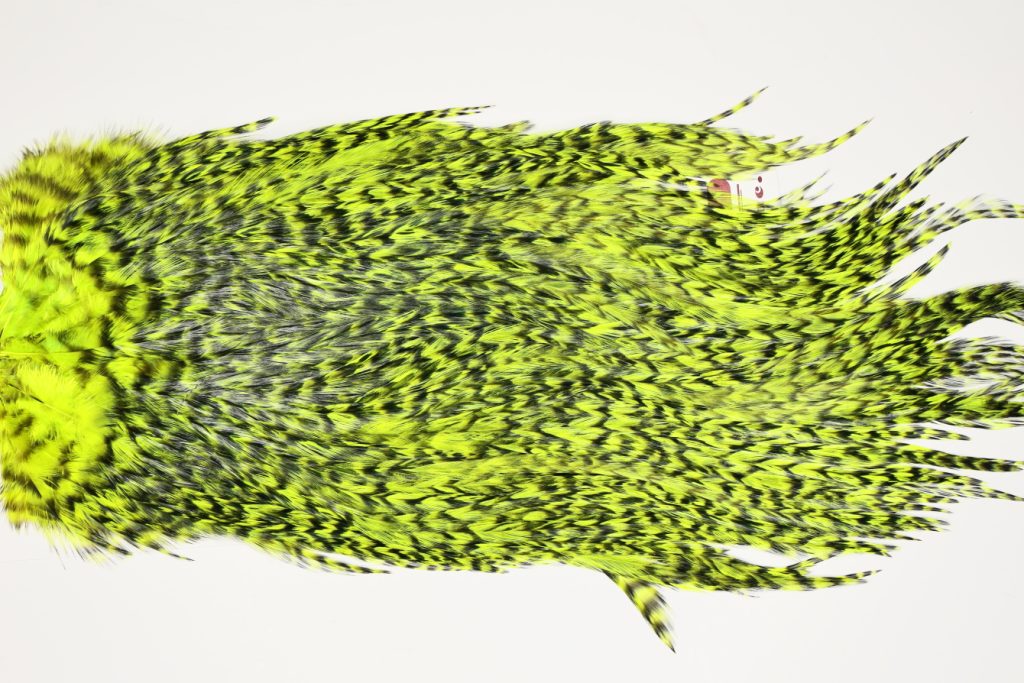 7514 Coq De Leon Dry Fly Hackle, Bronze Grade Saddle Yellow Chartreuse