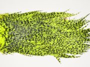 7514 Coq De Leon Dry Fly Hackle, Bronze Grade Saddle Yellow Chartreuse