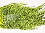 7518 Coq De Leon Dry Fly Hackle, Bronze Grade Saddle Yellow Chartreuse