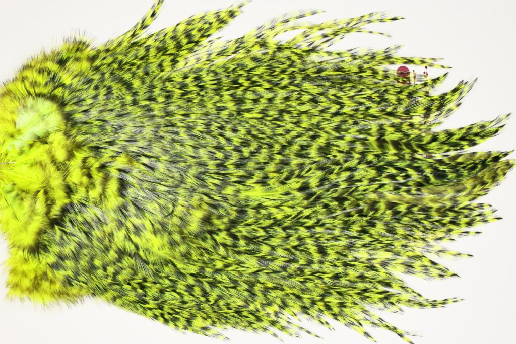 7521 Coq De Leon Dry Fly Hackle, Bronze Grade Saddle Yellow Chartreuse