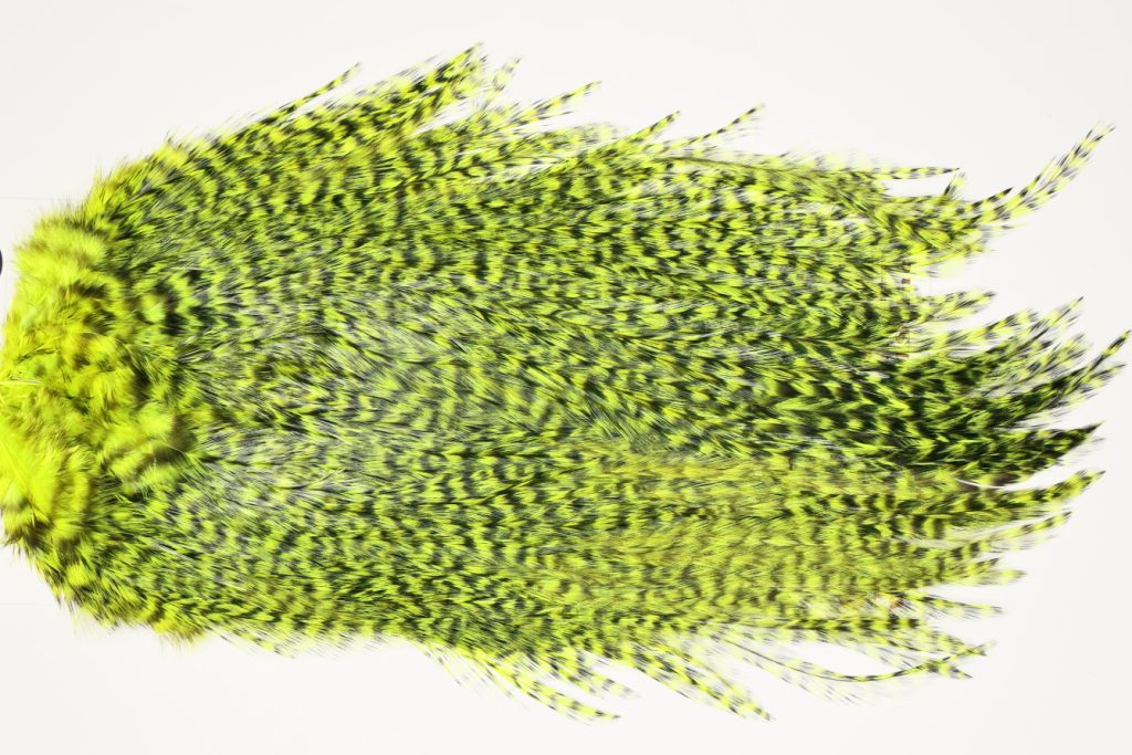 7522 Coq De Leon Dry Fly Hackle, Bronze Grade Saddle Yellow Chartreuse