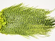 7522 Coq De Leon Dry Fly Hackle, Bronze Grade Saddle Yellow Chartreuse