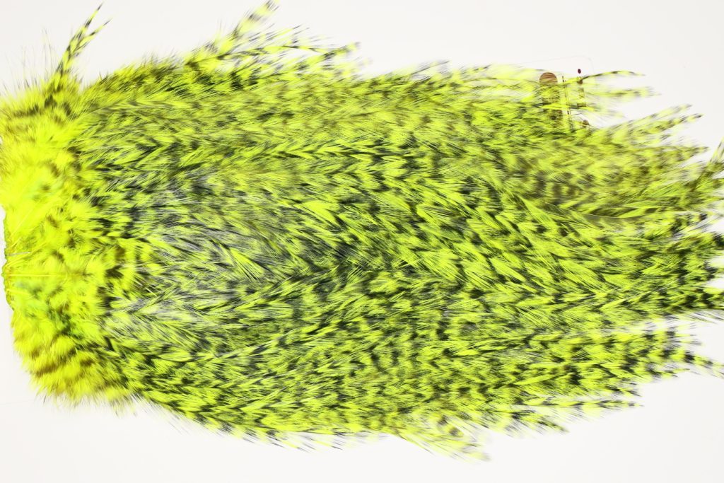 7523 Coq De Leon Dry Fly Hackle, Bronze Grade Saddle Yellow Chartreuse