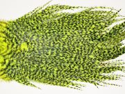 7524 Coq De Leon Dry Fly Hackle, Bronze Grade Saddle Yellow Chartreuse