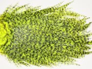 7525 Coq De Leon Dry Fly Hackle, Bronze Grade Saddle Yellow Chartreuse