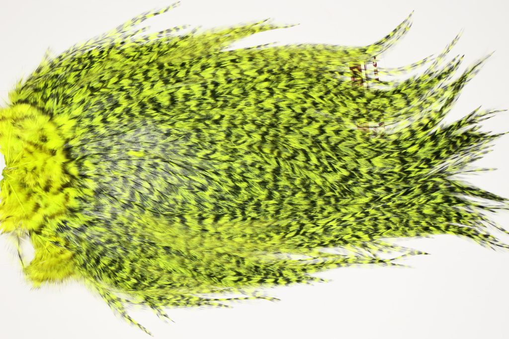 7526 Coq De Leon Dry Fly Hackle, Bronze Grade Saddle Yellow Chartreuse