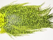 7526 Coq De Leon Dry Fly Hackle, Bronze Grade Saddle Yellow Chartreuse