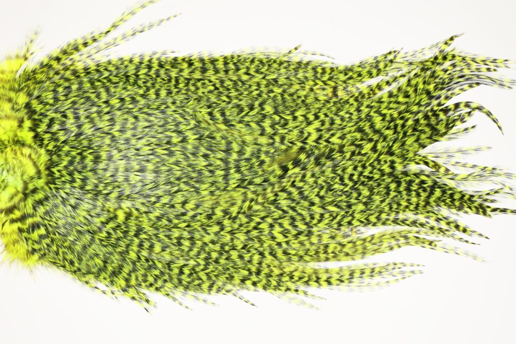 7527 Coq De Leon Dry Fly Hackle, Bronze Grade Saddle Yellow Chartreuse