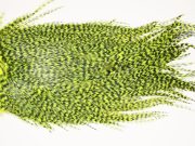 7527 Coq De Leon Dry Fly Hackle, Bronze Grade Saddle Yellow Chartreuse