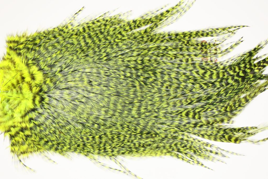 7529 Coq De Leon Dry Fly Hackle, Bronze Grade Saddle Yellow Chartreuse