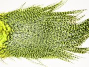 7529 Coq De Leon Dry Fly Hackle, Bronze Grade Saddle Yellow Chartreuse
