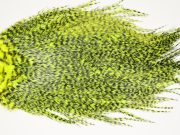 7531 Coq De Leon Dry Fly Hackle, Bronze Grade Saddle Yellow Chartreuse