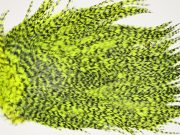 7533 Coq De Leon Dry Fly Hackle, Bronze Grade Saddle Yellow Chartreuse