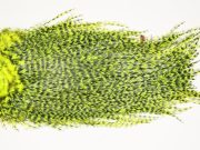 7534 Coq De Leon Dry Fly Hackle, Bronze Grade Saddle Yellow Chartreuse