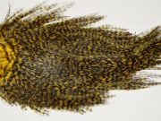 7539 Coq De Leon Dry Fly Hackle, Bronze Grade Saddle March Brown