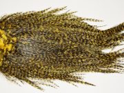 7564 Coq De Leon Dry Fly Hackle, Bronze Grade Saddle March Brown