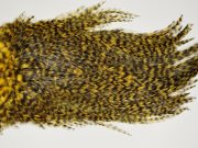 7565 Coq De Leon Dry Fly Hackle, Bronze Grade Saddle March Brown