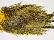 7566 Coq De Leon Dry Fly Hackle, Bronze Grade Saddle March Brown